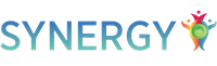 Synergy HR VI